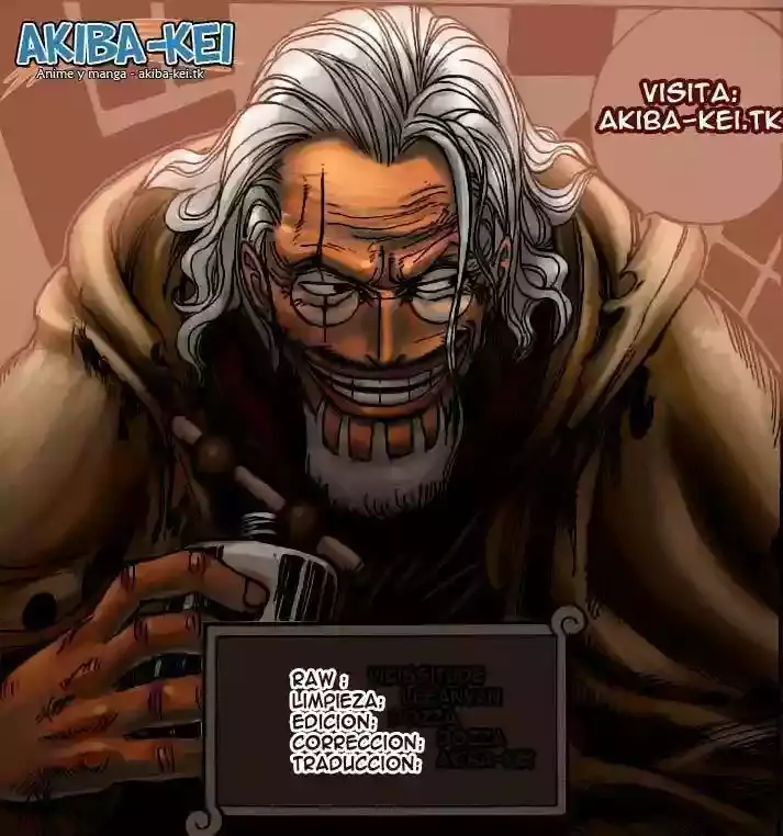 One Piece Capitulo 576 página 14