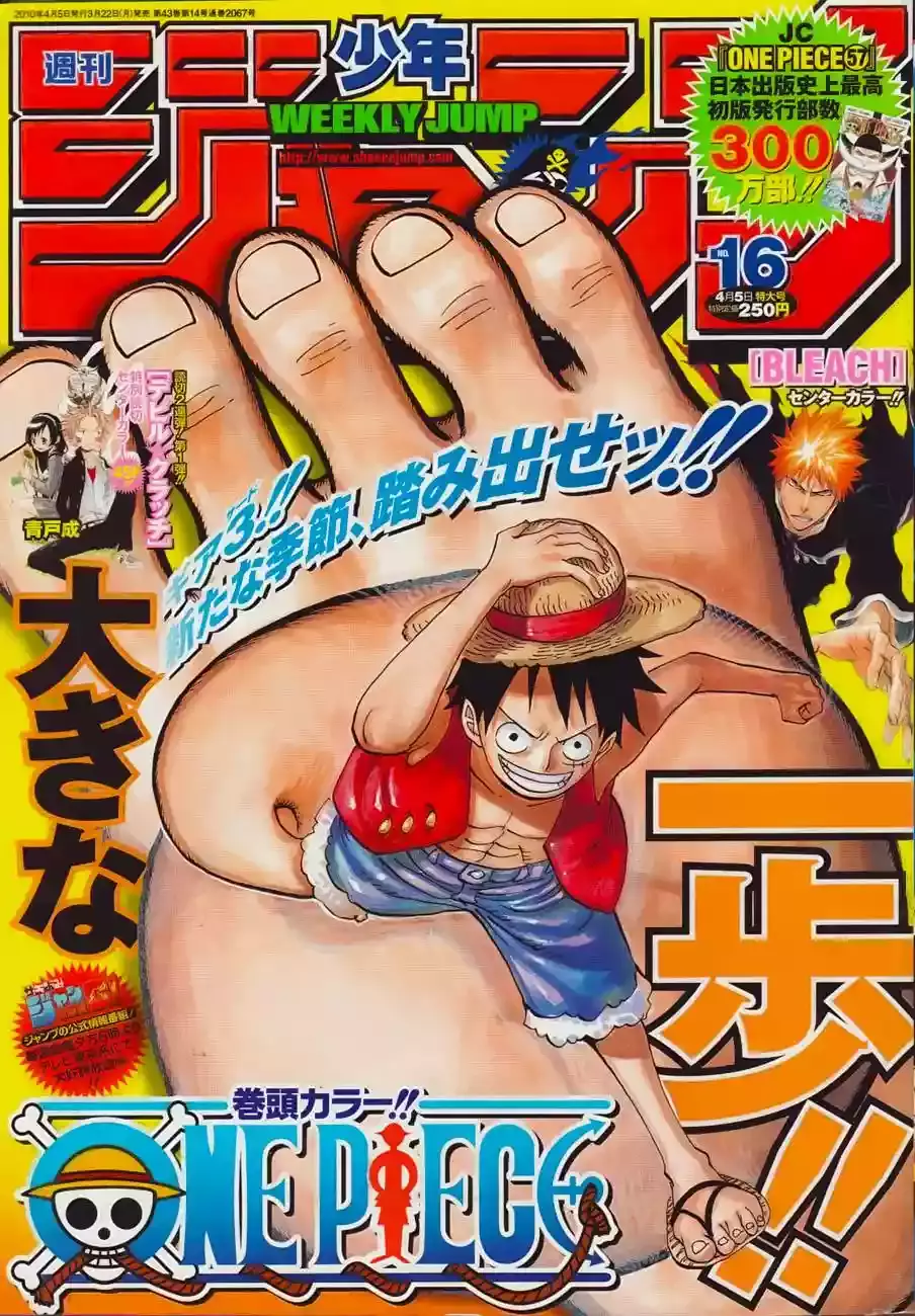 One Piece Capitulo 578 página 17