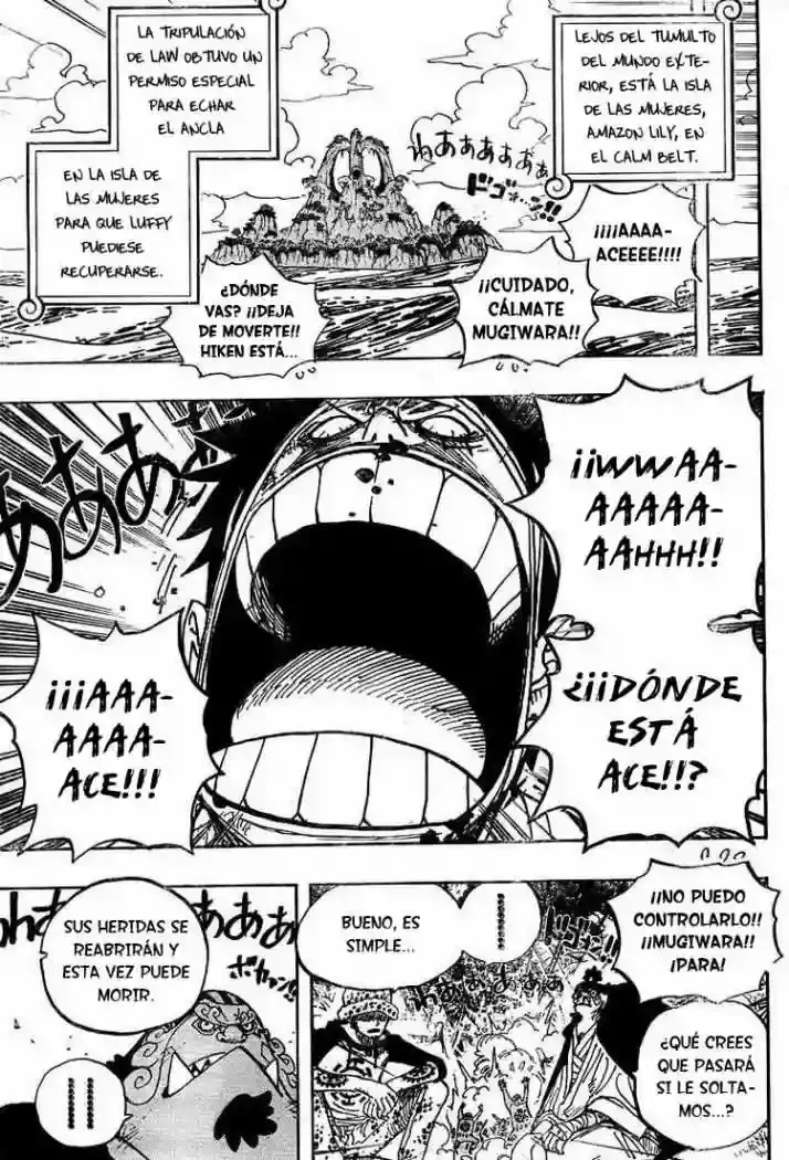 One Piece Capitulo 582 página 5