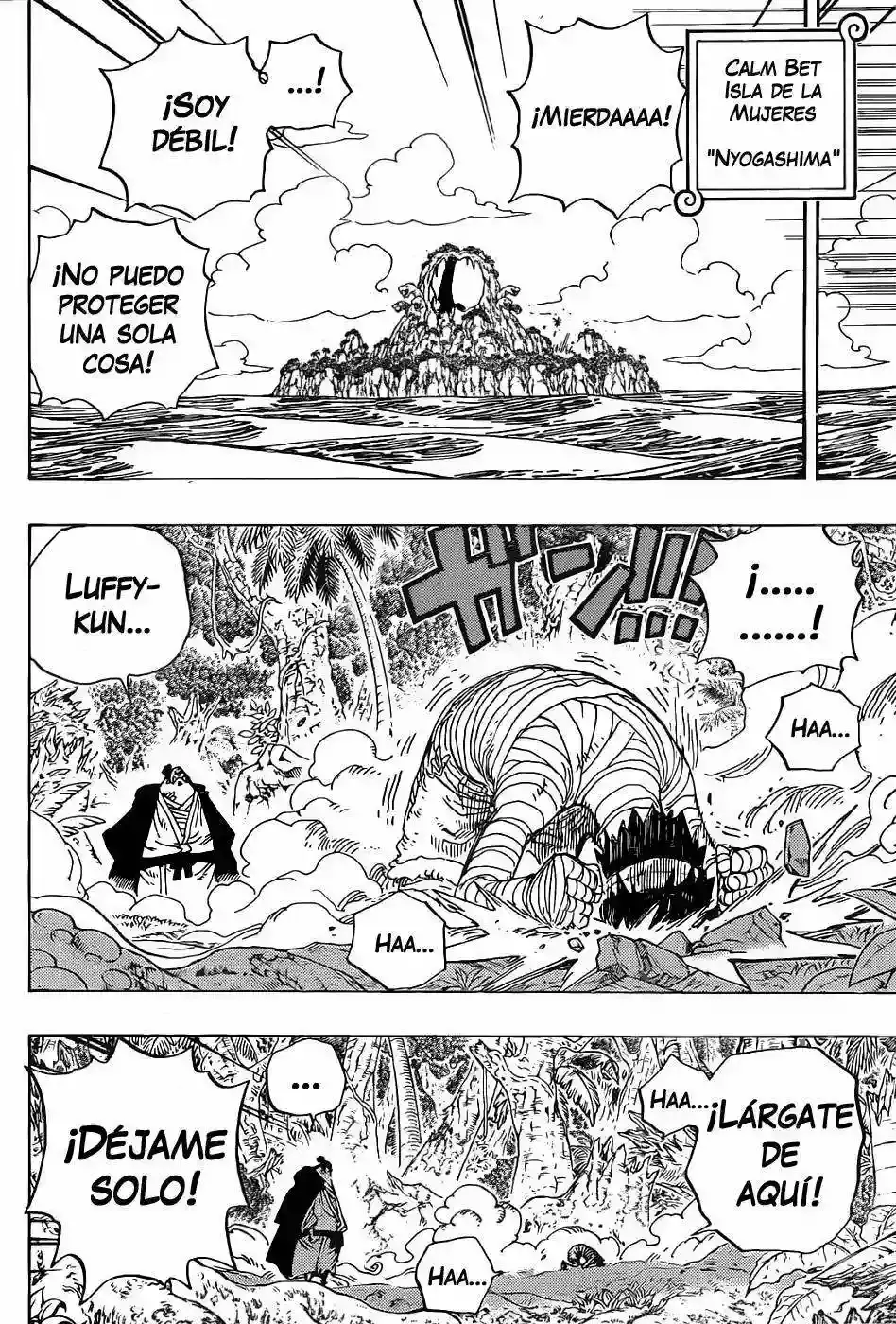 One Piece Capitulo 590 página 11