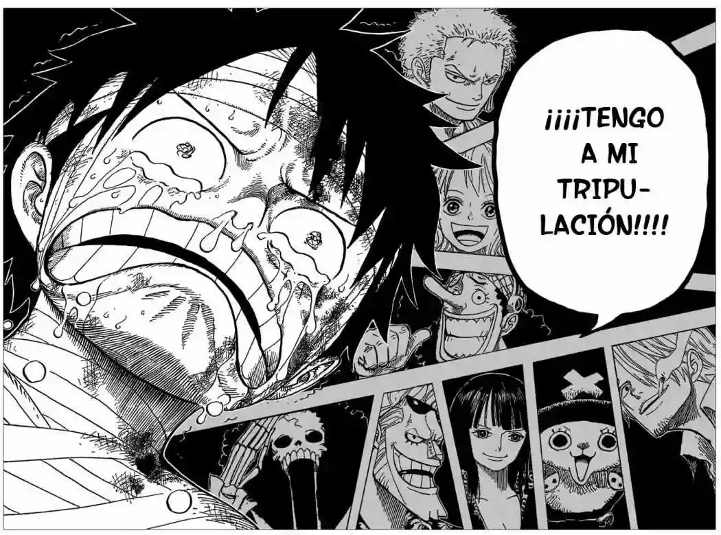 One Piece Capitulo 590 página 17