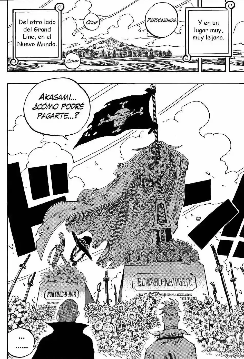 One Piece Capitulo 590 página 9