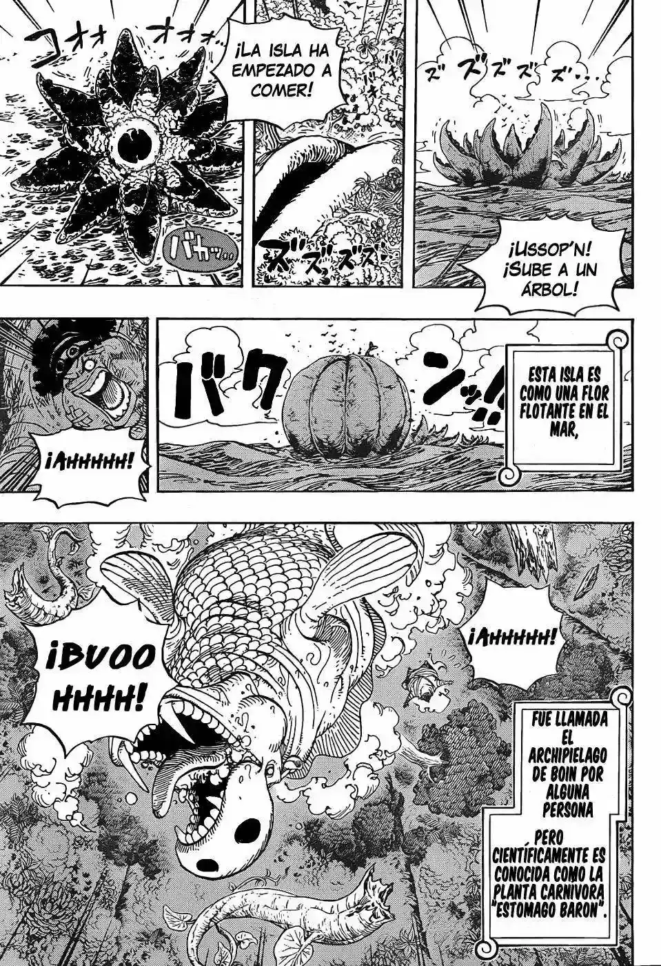 One Piece Capitulo 591 página 16