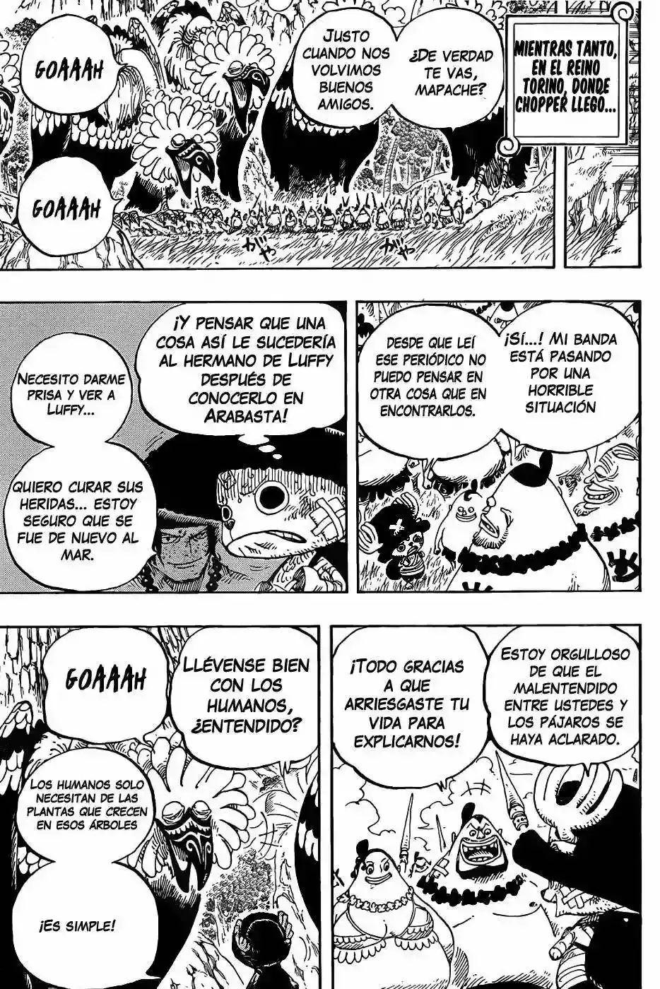 One Piece Capitulo 591 página 18