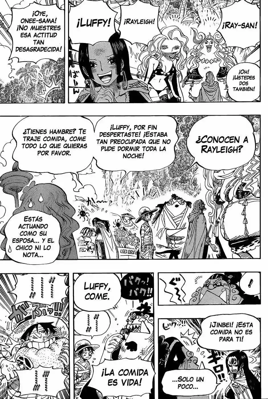 One Piece Capitulo 591 página 8