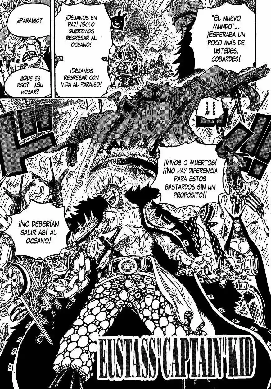 One Piece Capitulo 594 página 13