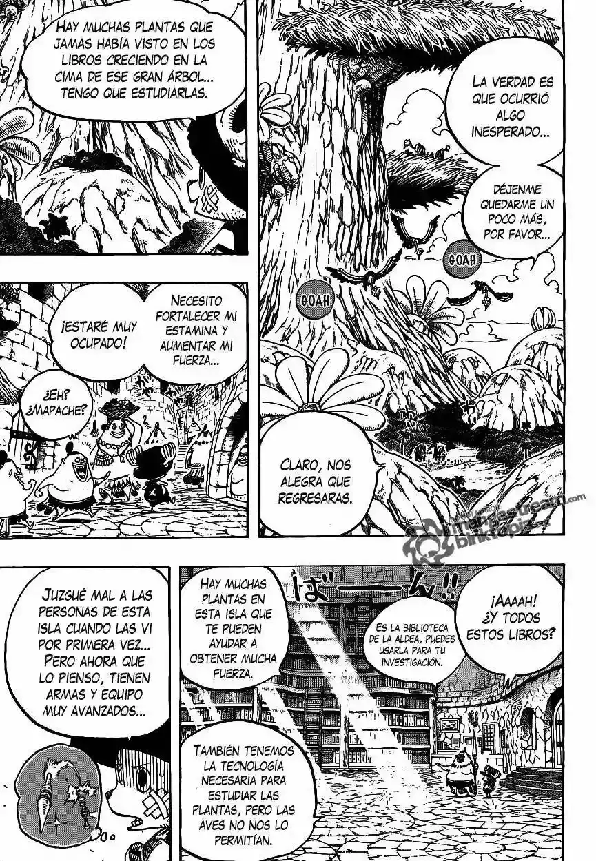 One Piece Capitulo 595 página 12