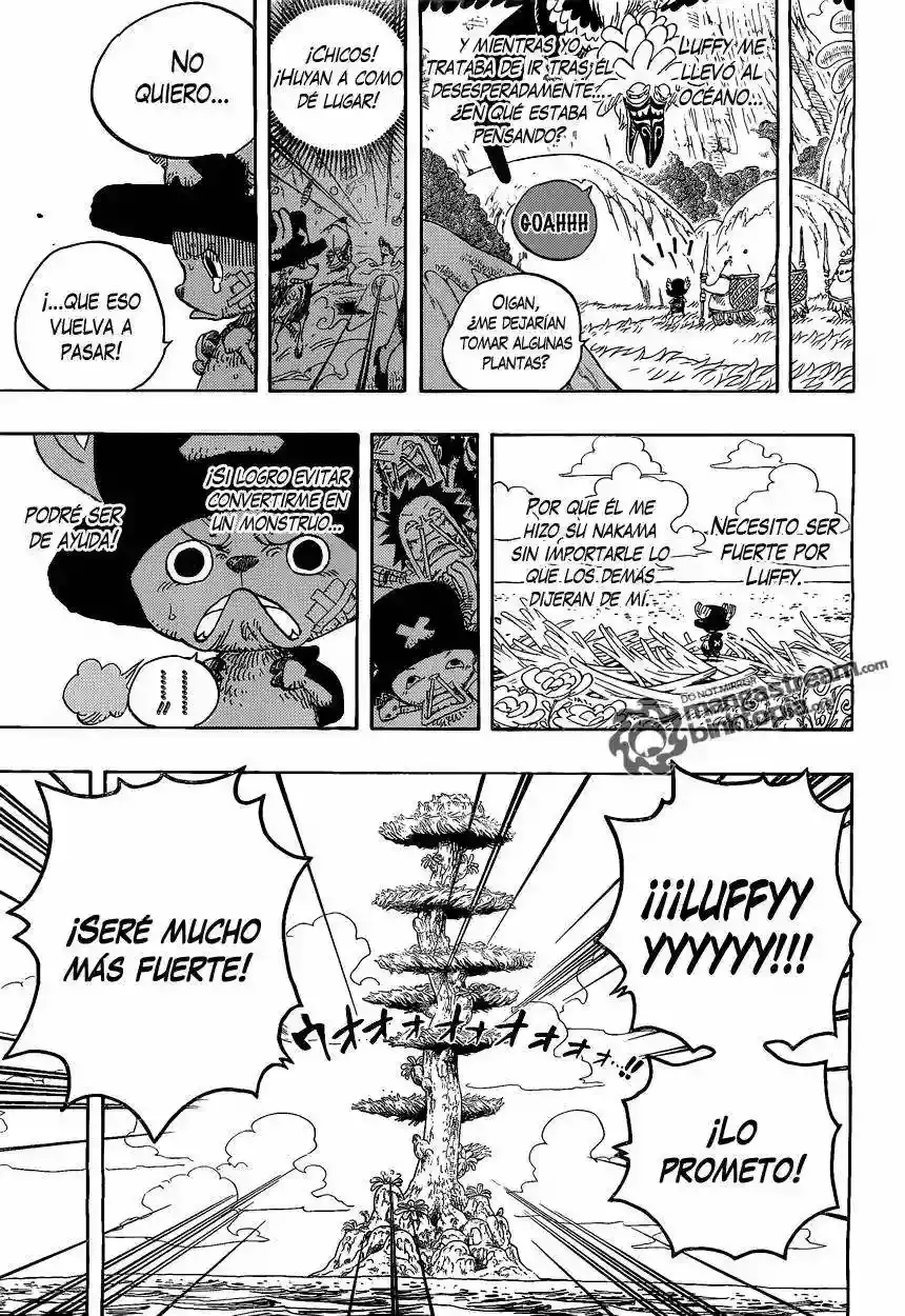 One Piece Capitulo 595 página 14