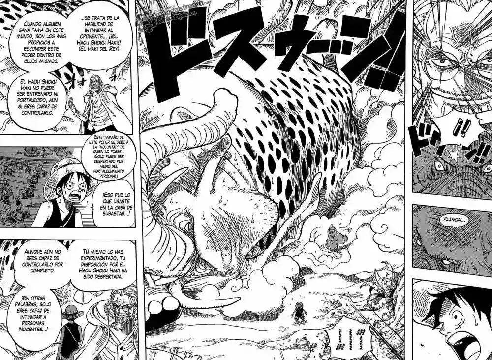 One Piece Capitulo 597 página 14