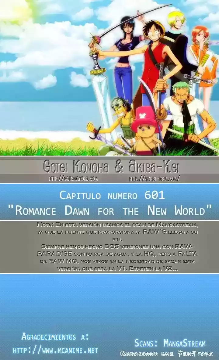 One Piece Capitulo 601 página 17