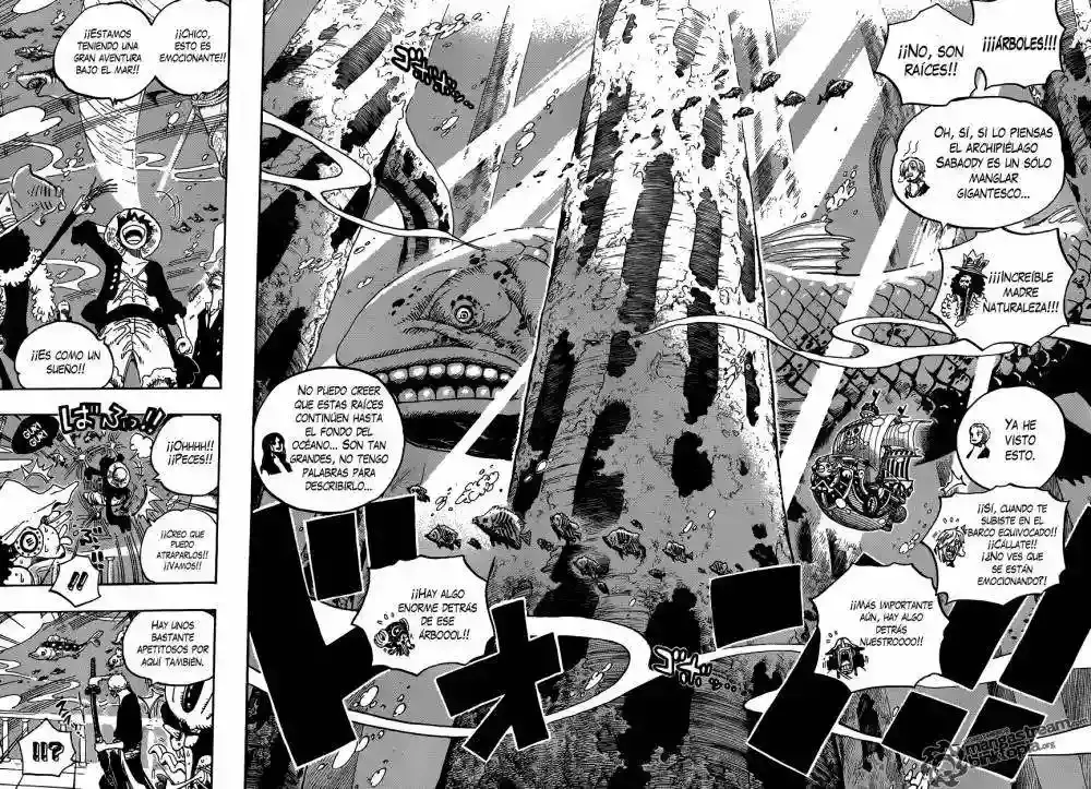 One Piece Capitulo 603 página 9