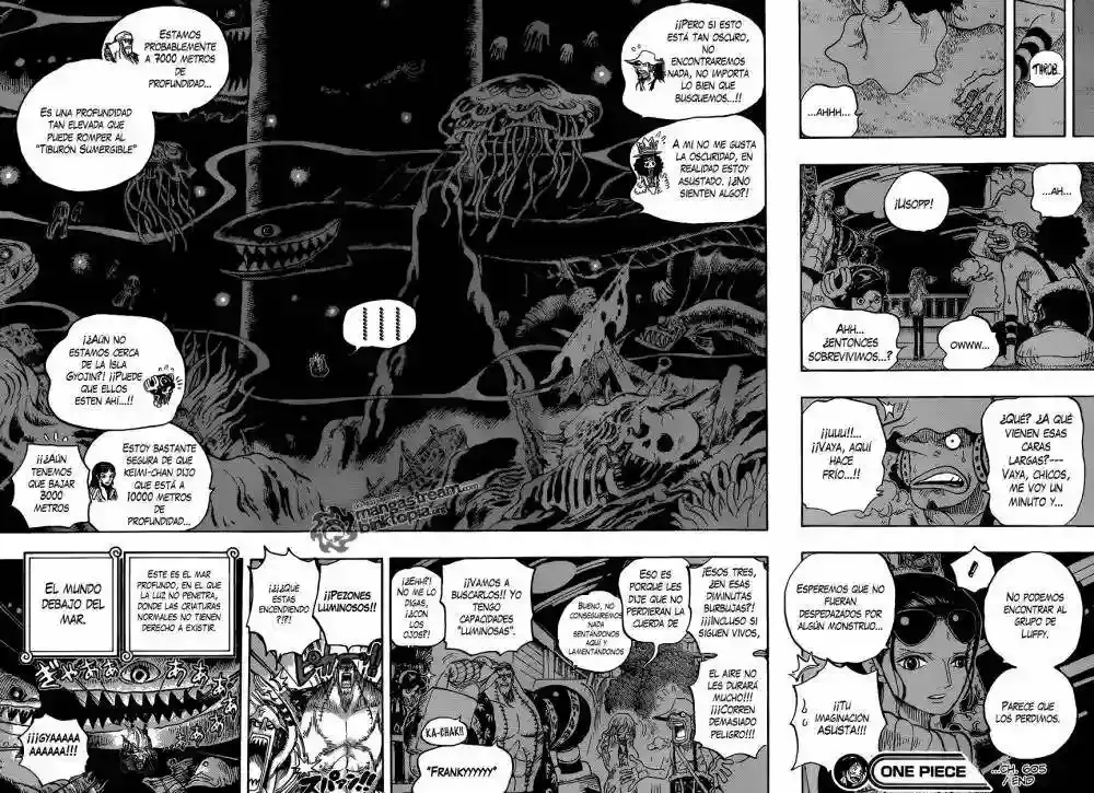 One Piece Capitulo 605 página 17