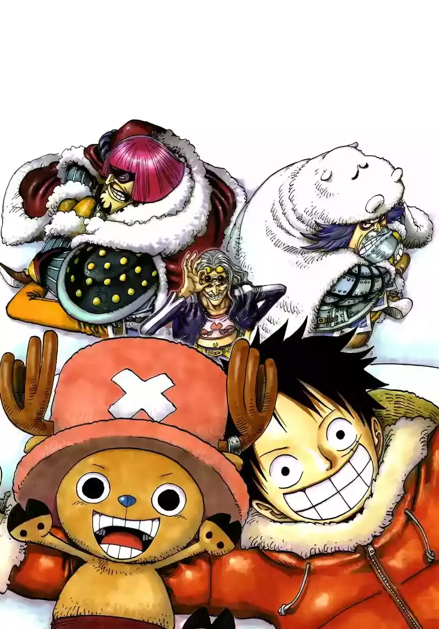 One Piece Capitulo 609 página 20