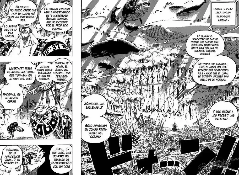 One Piece Capitulo 616 página 10