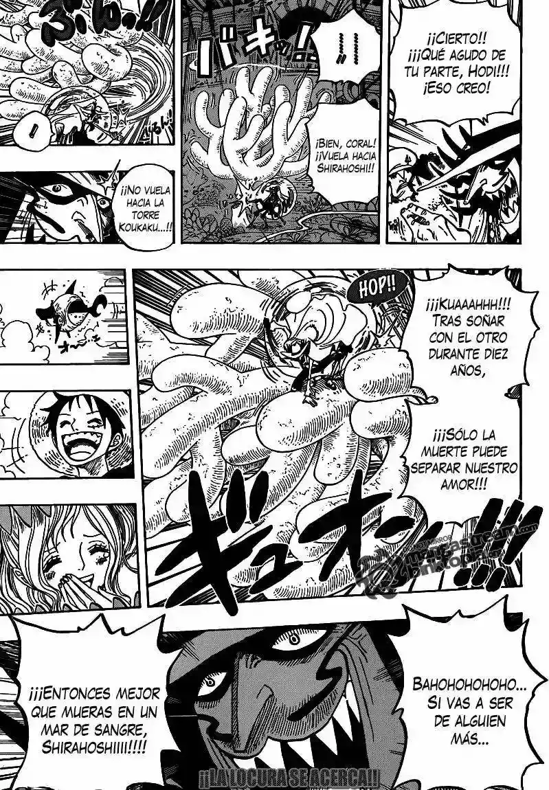 One Piece Capitulo 616 página 16