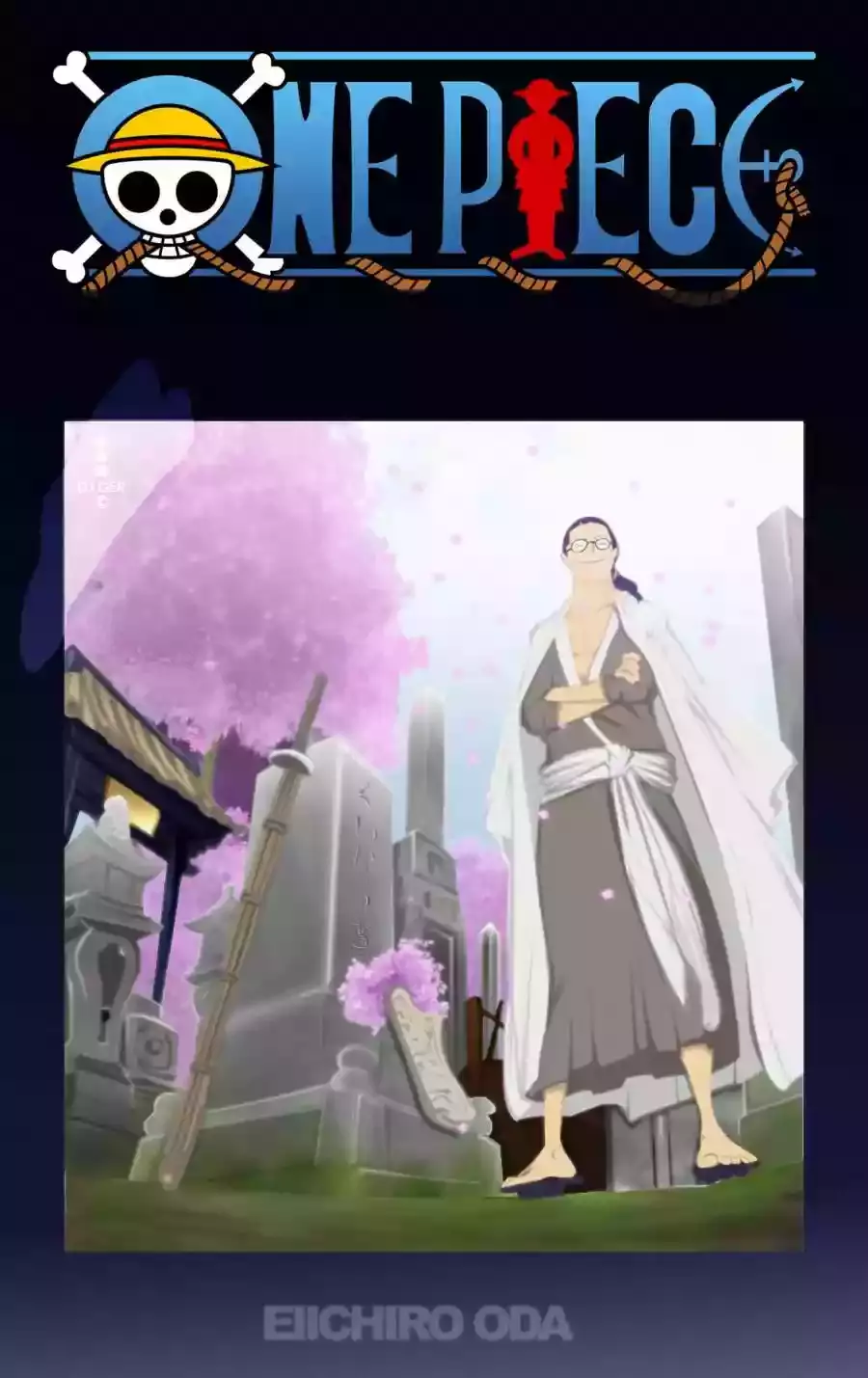 One Piece Capitulo 618 página 14