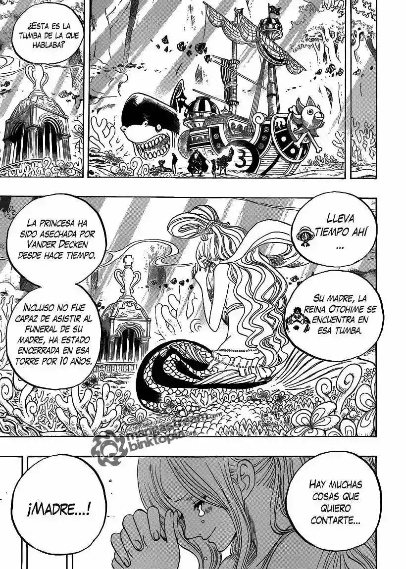 One Piece Capitulo 619 página 14