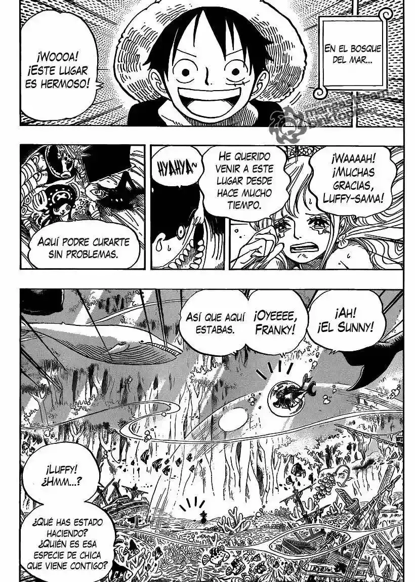 One Piece Capitulo 619 página 9