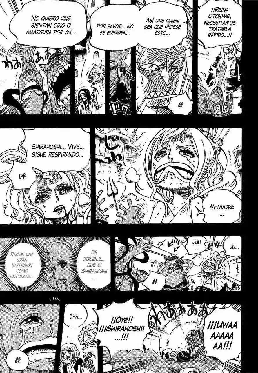 One Piece Capitulo 626 página 18
