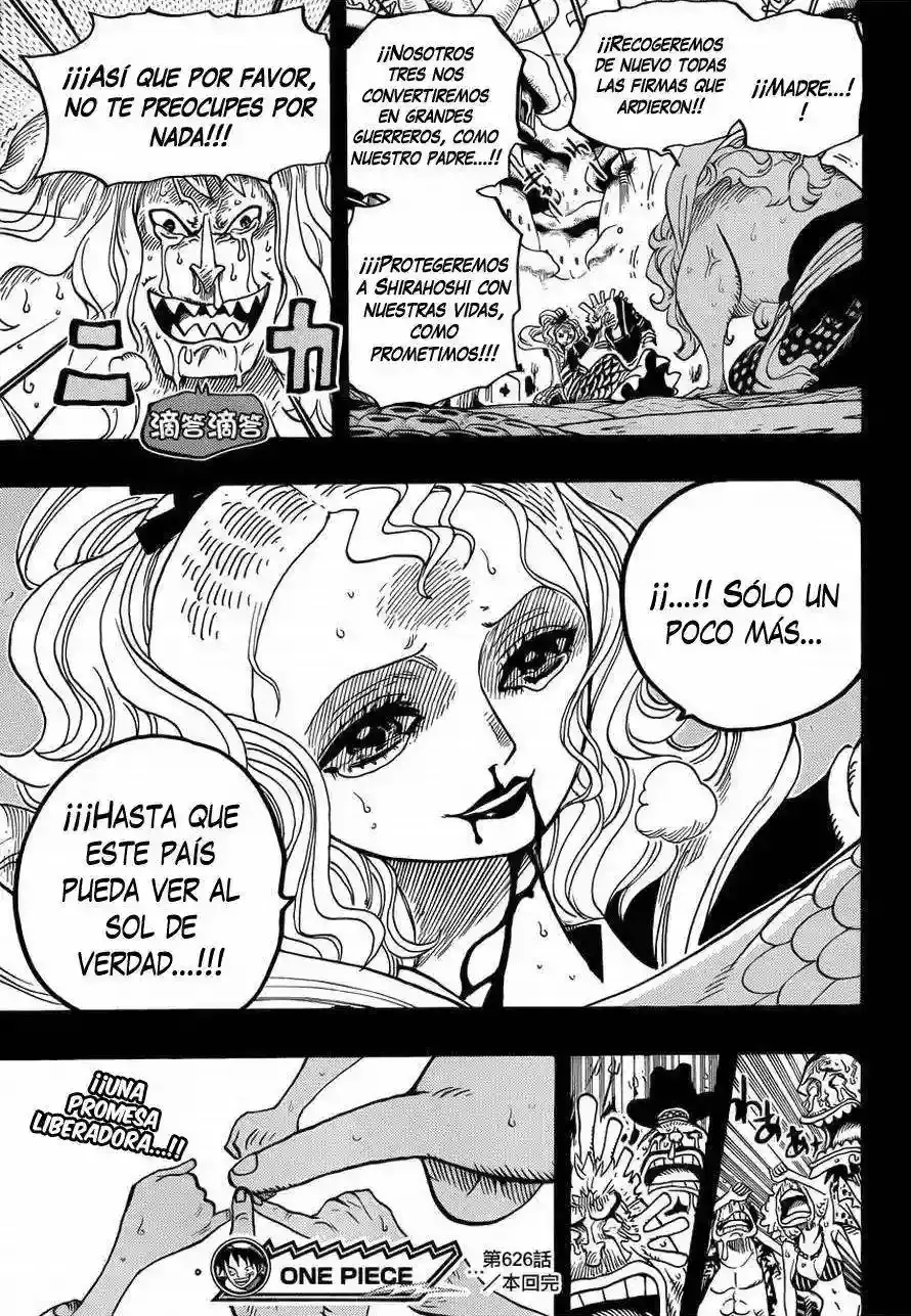 One Piece Capitulo 626 página 20