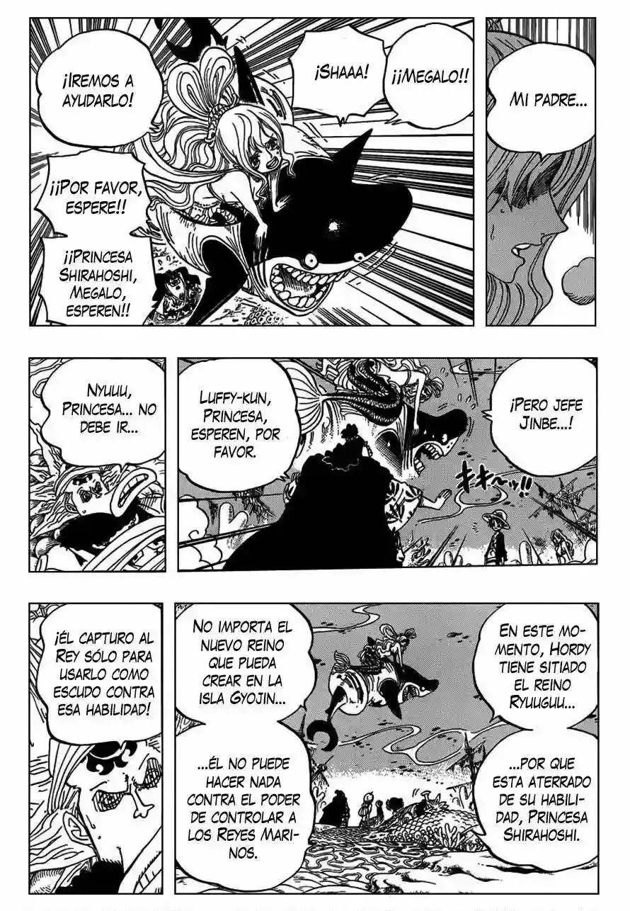One Piece Capitulo 628 página 19