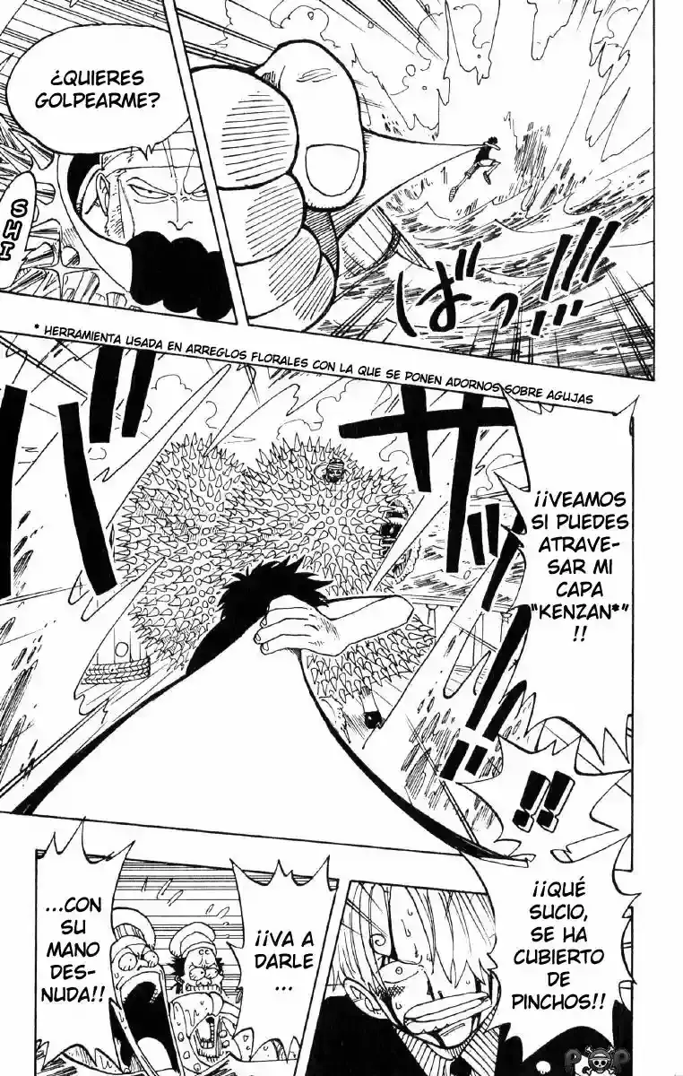 One Piece Capitulo 63 página 13