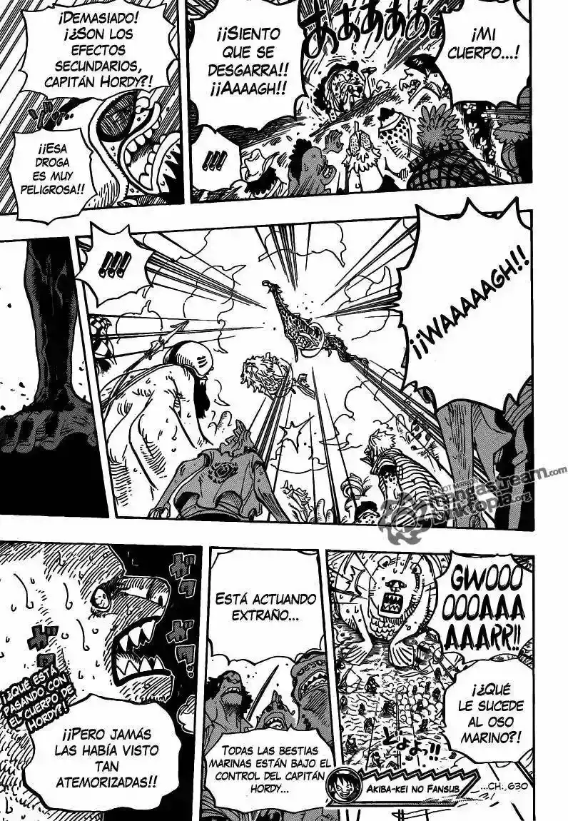One Piece Capitulo 630 página 19