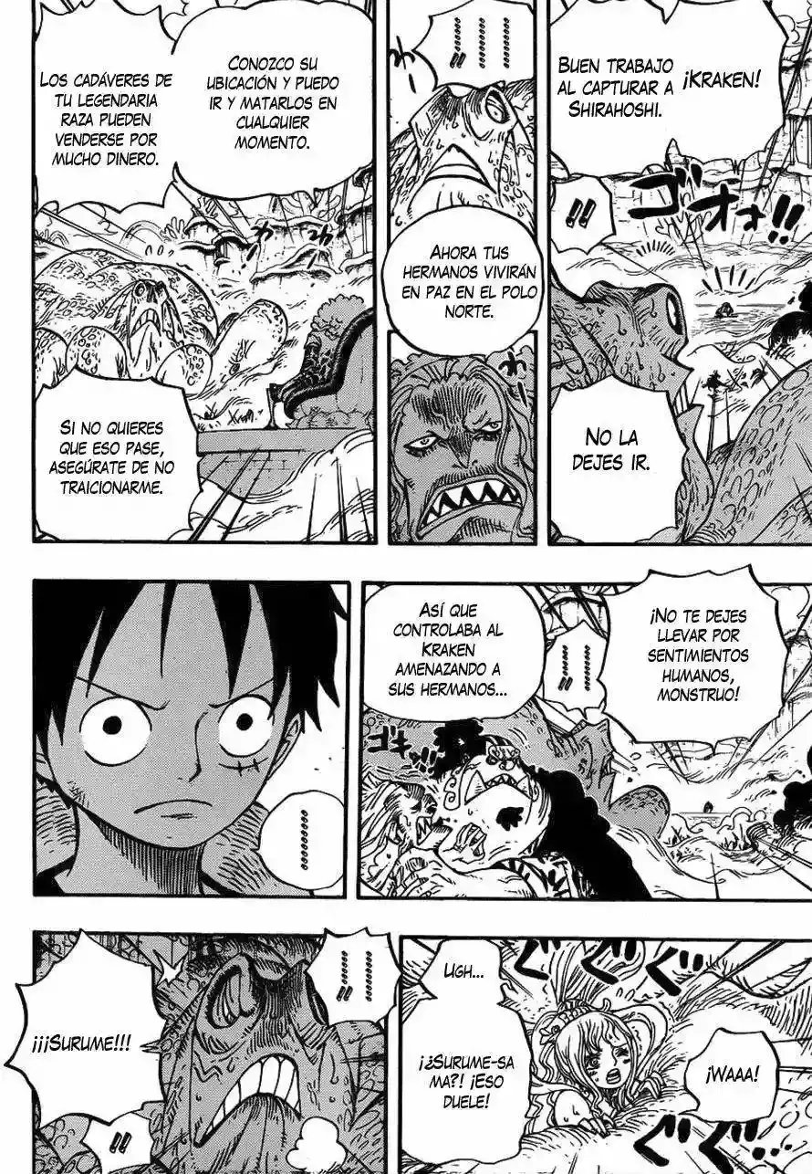 One Piece Capitulo 636 página 14
