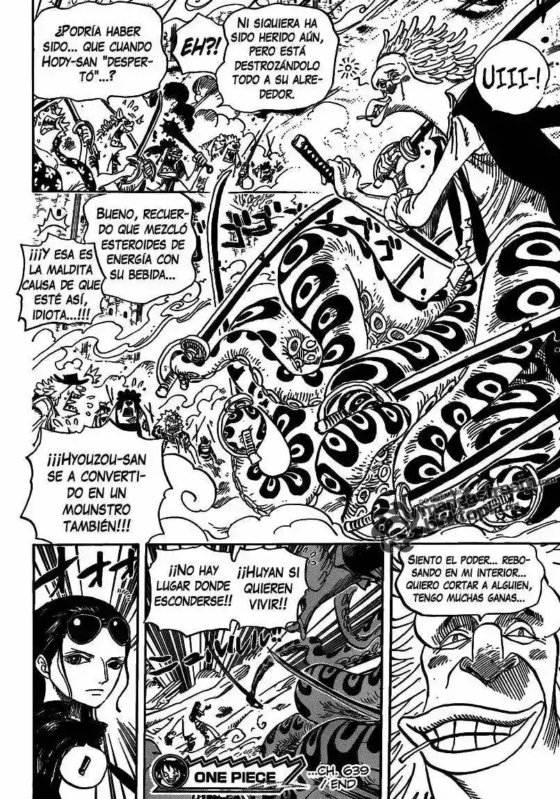 One Piece Capitulo 639 página 18