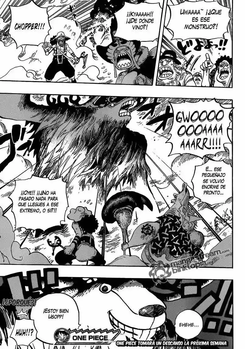 One Piece Capitulo 645 página 19