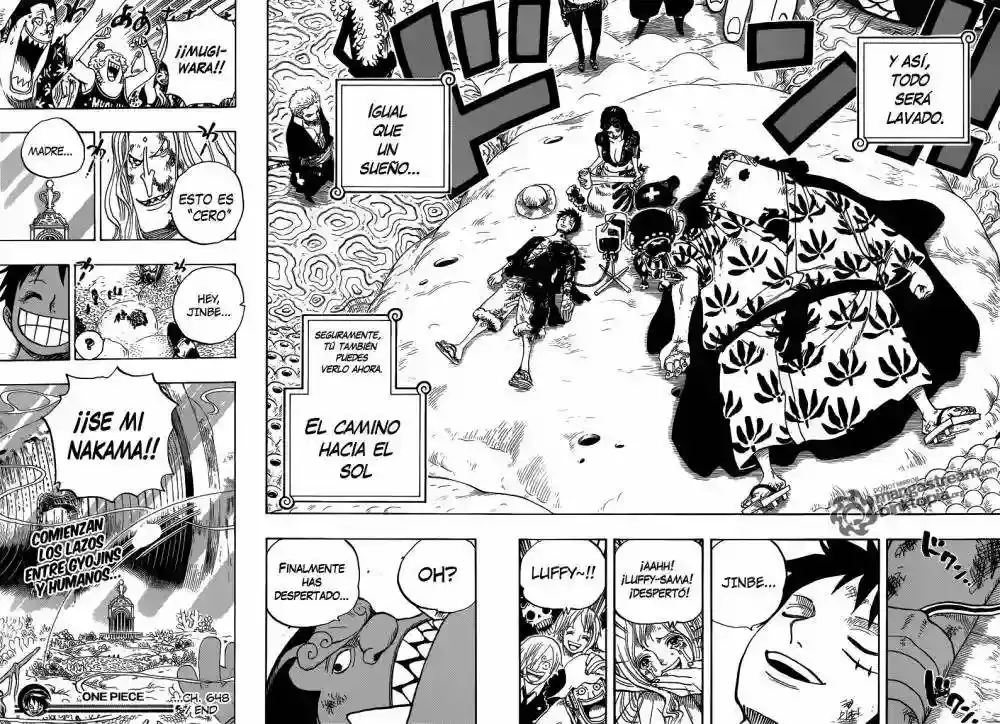 One Piece Capitulo 648 página 18