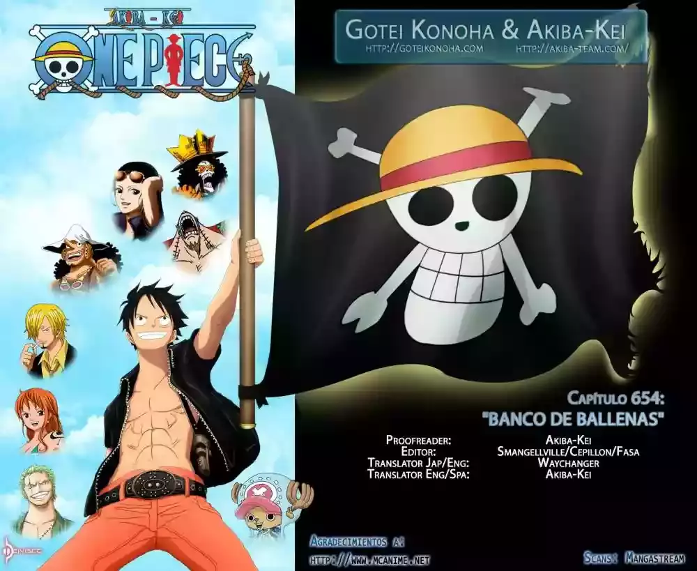 One Piece Capitulo 654 página 18