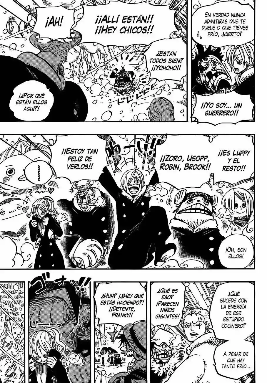 One Piece Capitulo 663 página 14