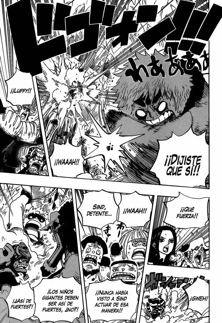 One Piece Capitulo 665 página 12