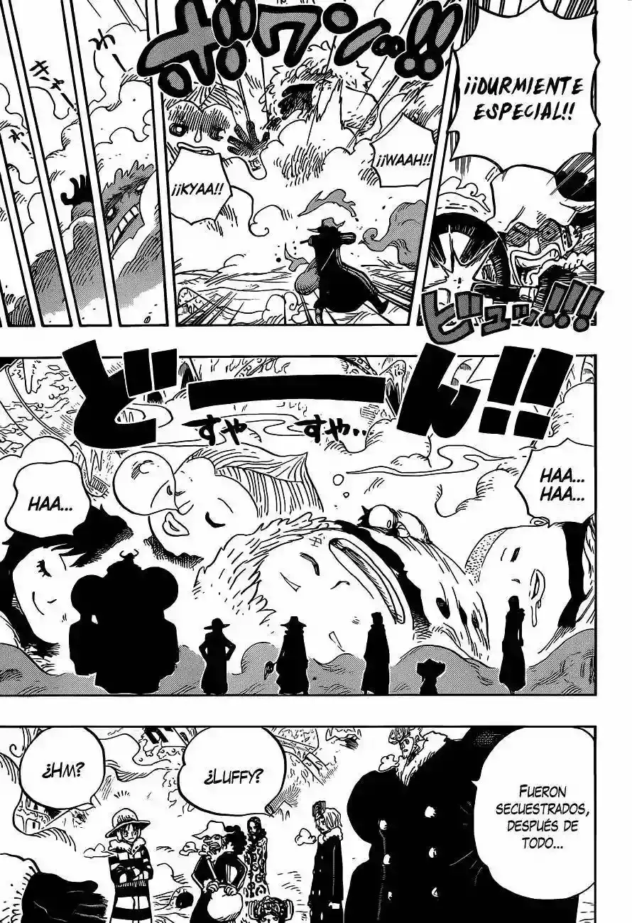 One Piece Capitulo 665 página 14