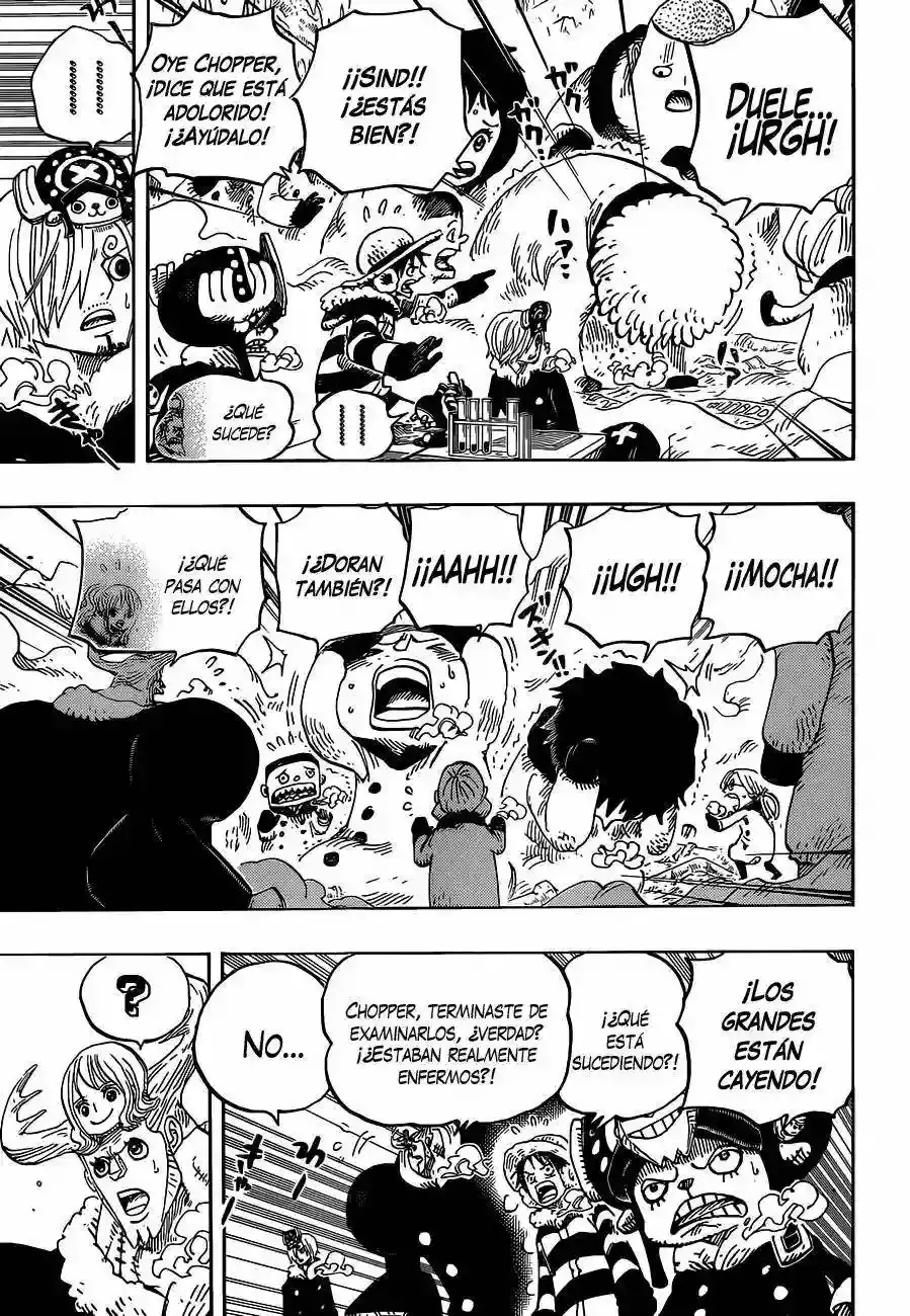 One Piece Capitulo 665 página 6