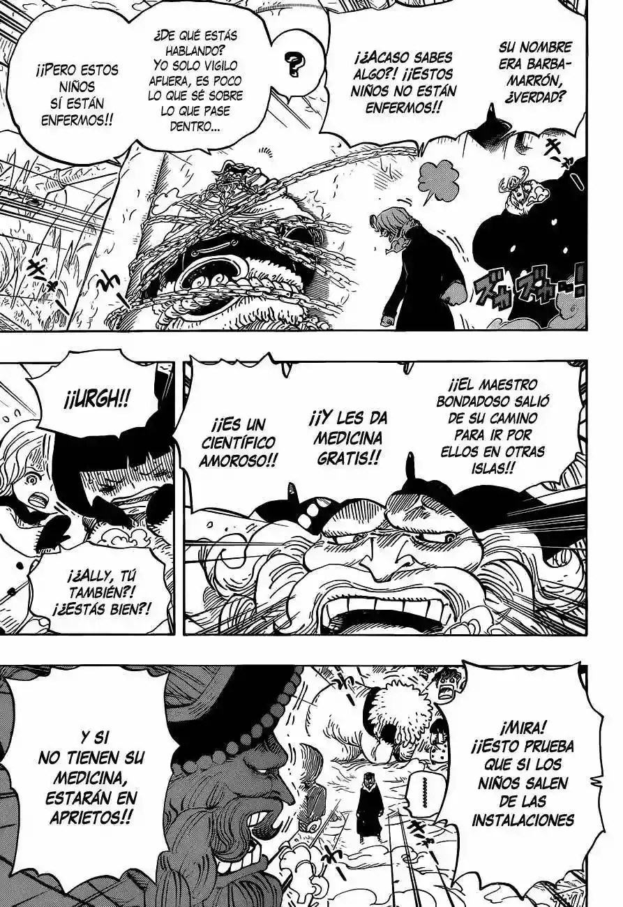 One Piece Capitulo 665 página 8