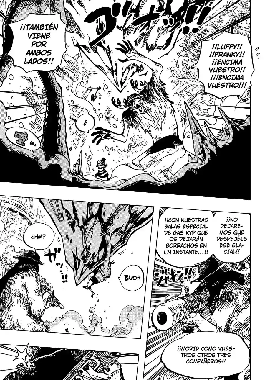 One Piece Capitulo 667 página 13