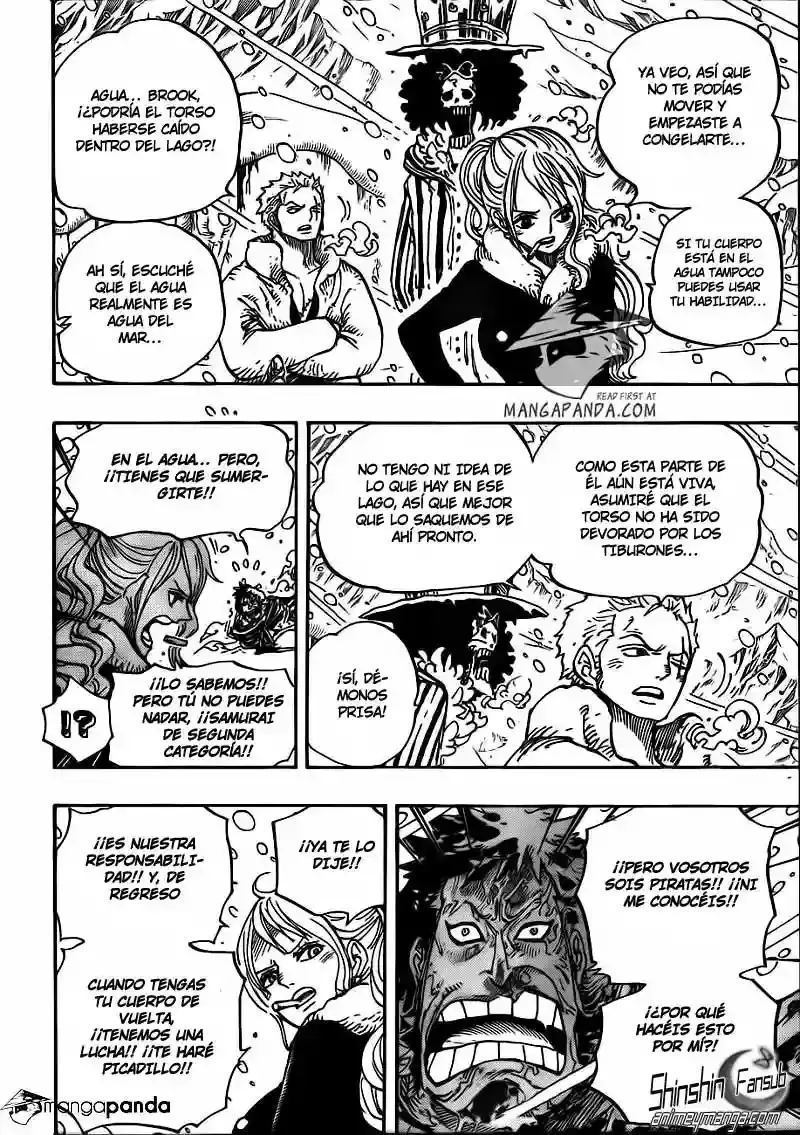 One Piece Capitulo 669 página 10