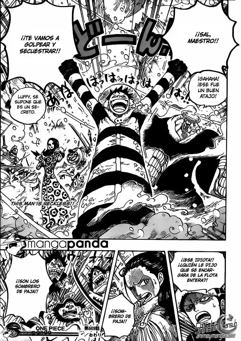 One Piece Capitulo 669 página 17