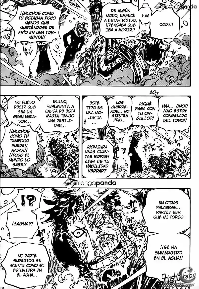 One Piece Capitulo 669 página 9