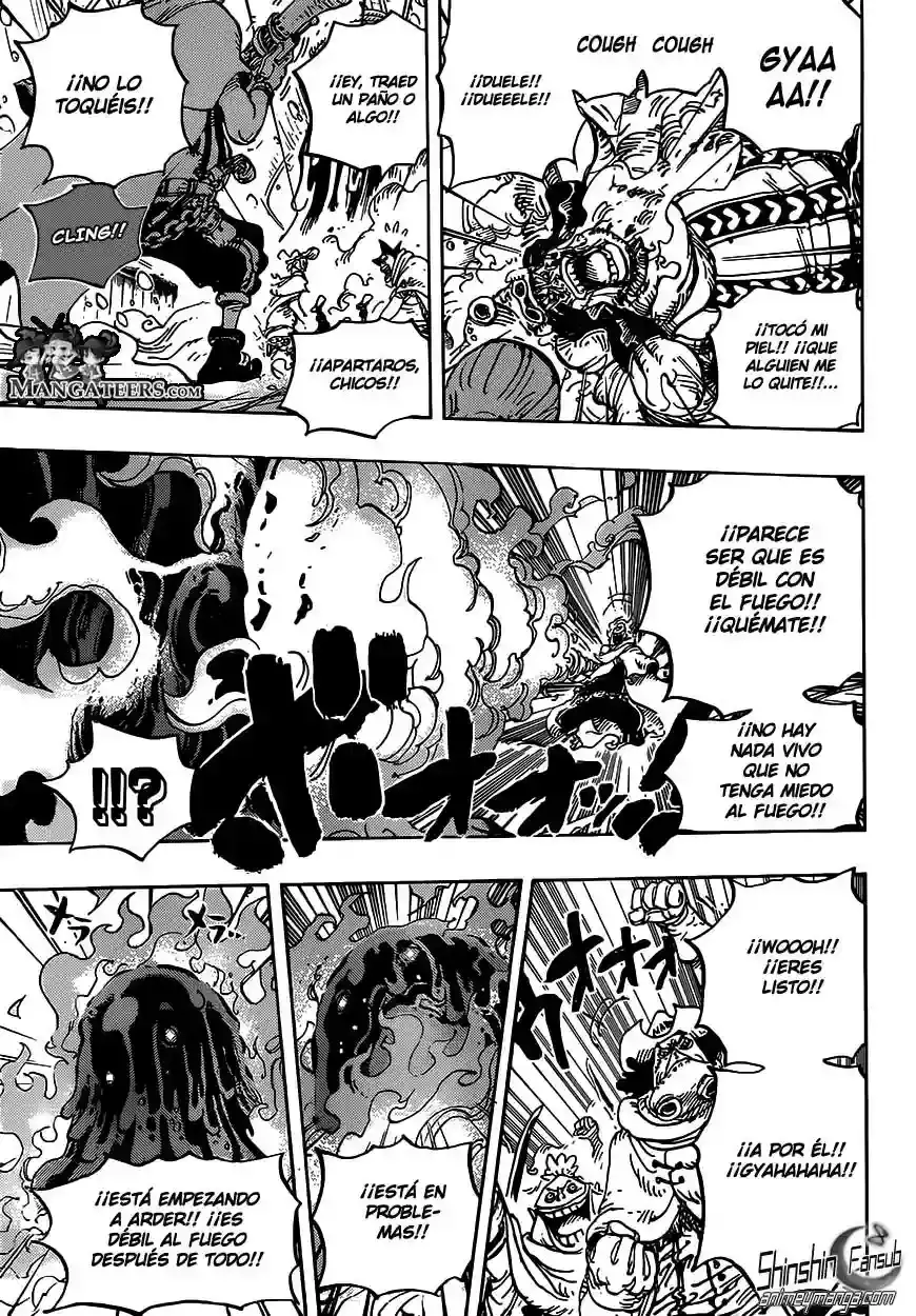 One Piece Capitulo 670 página 11