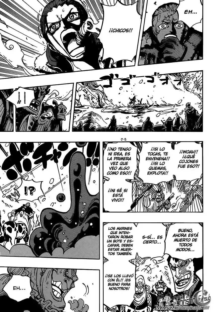 One Piece Capitulo 670 página 13