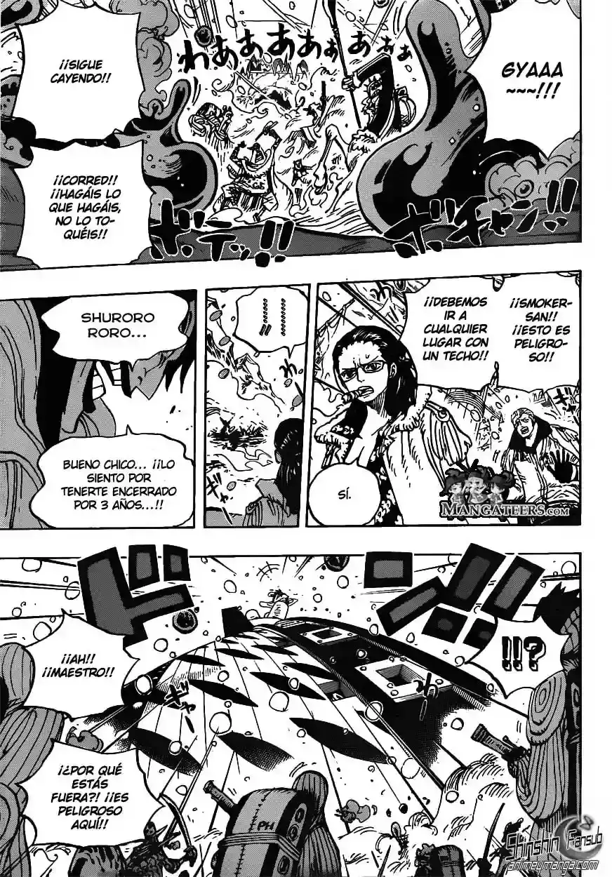 One Piece Capitulo 670 página 15