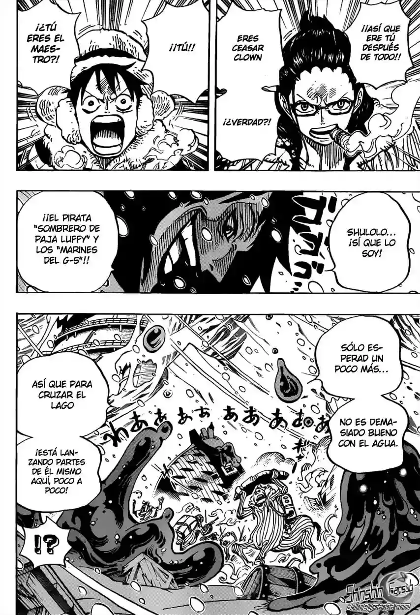 One Piece Capitulo 670 página 16