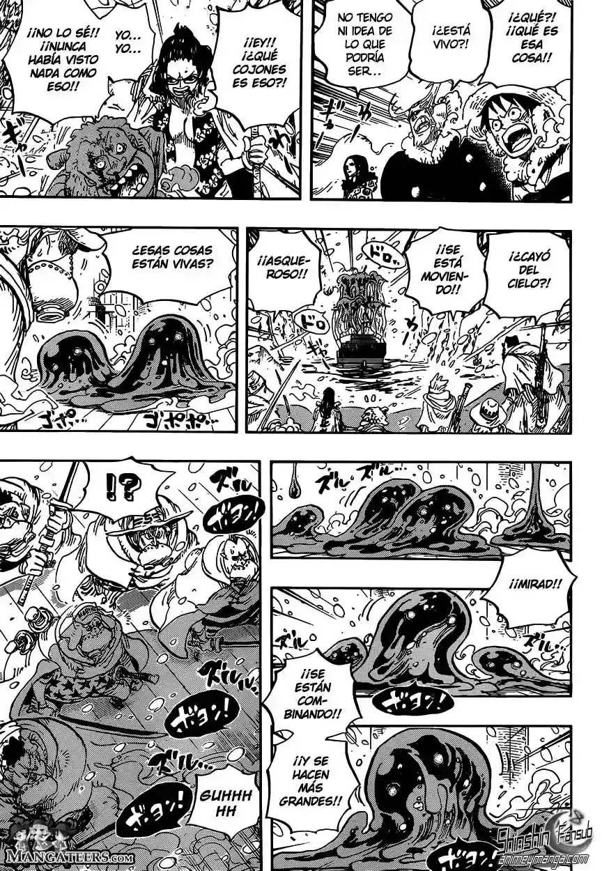 One Piece Capitulo 670 página 9