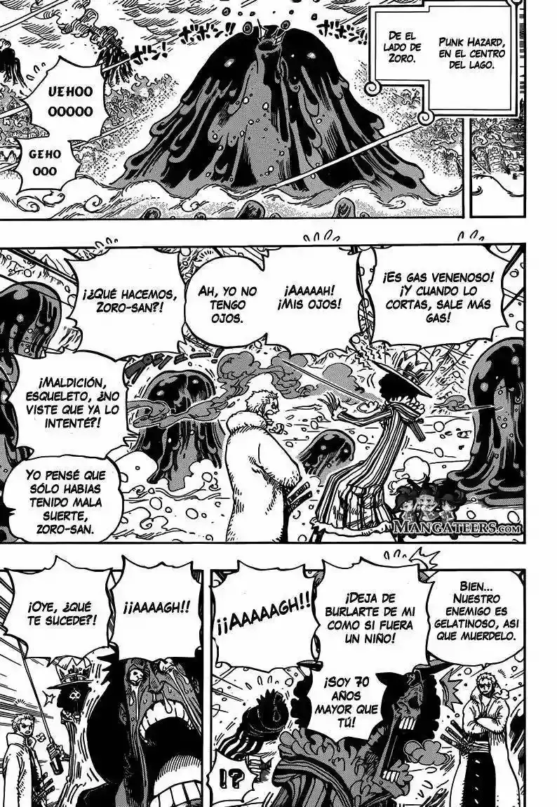 One Piece Capitulo 672 página 10
