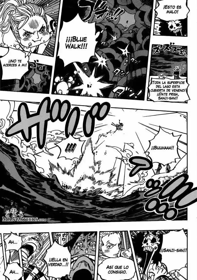 One Piece Capitulo 672 página 14