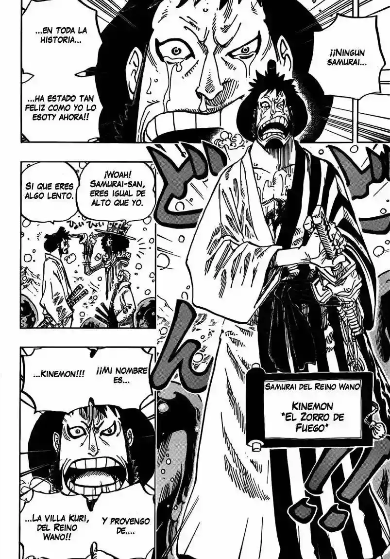One Piece Capitulo 672 página 15