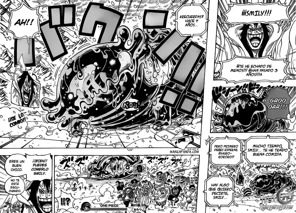 One Piece Capitulo 675 página 18